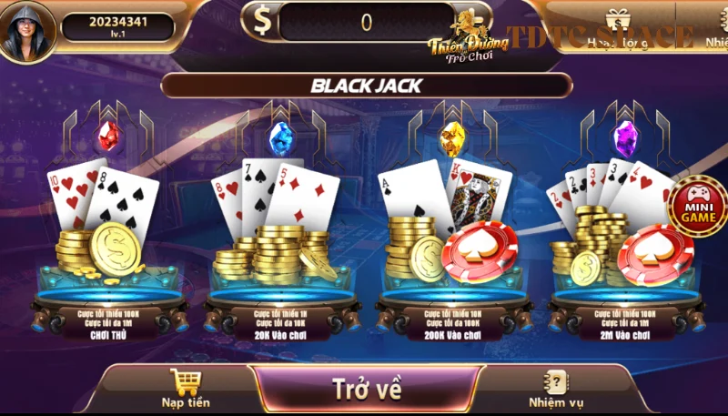 Giới thiệu cơ bản về blackjack TDTC