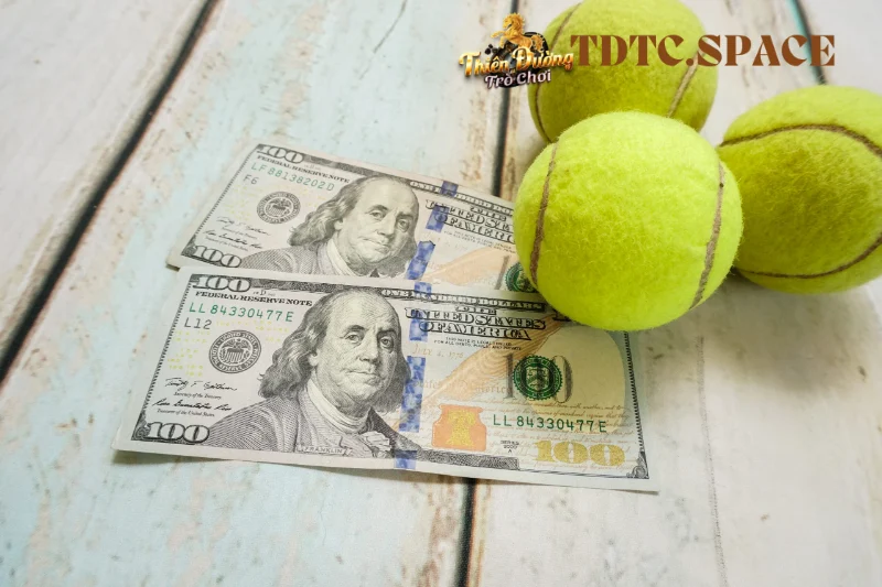 Tổng quan về cá cược tennis TDTC